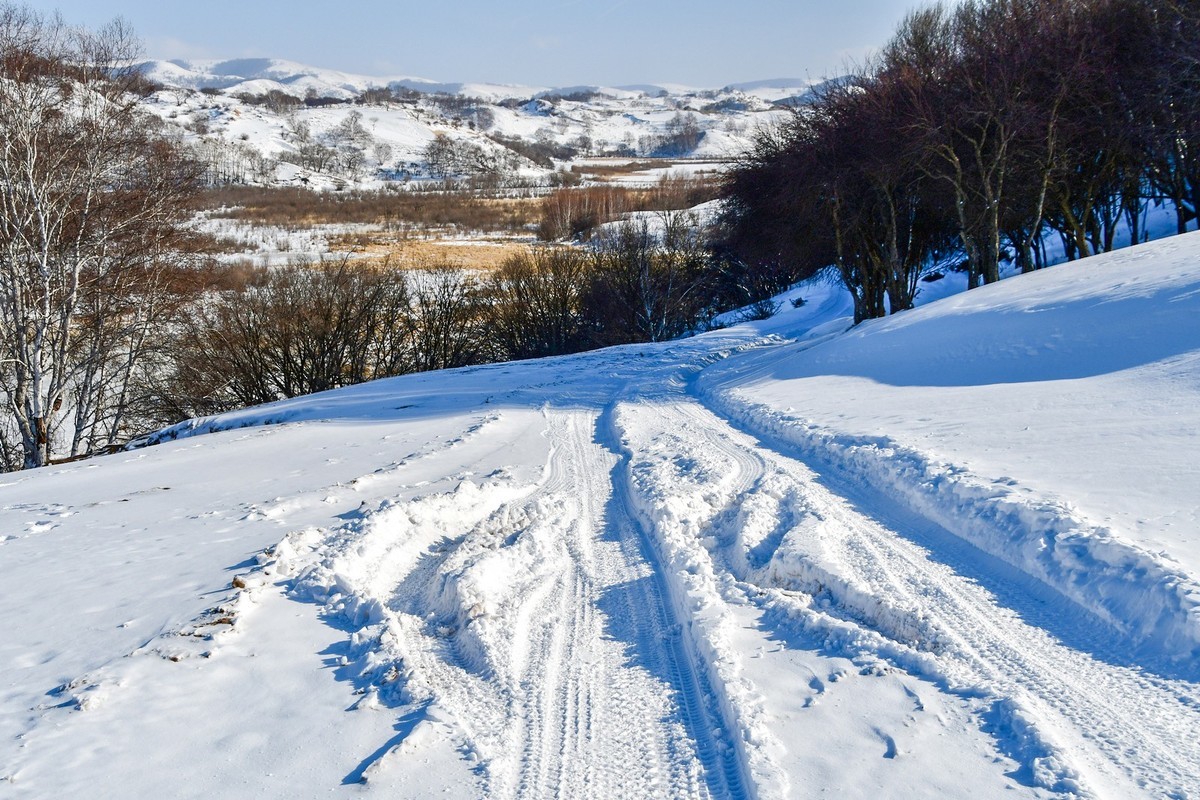 乌兰布统塞罕坝之行 及路上所见（十五）