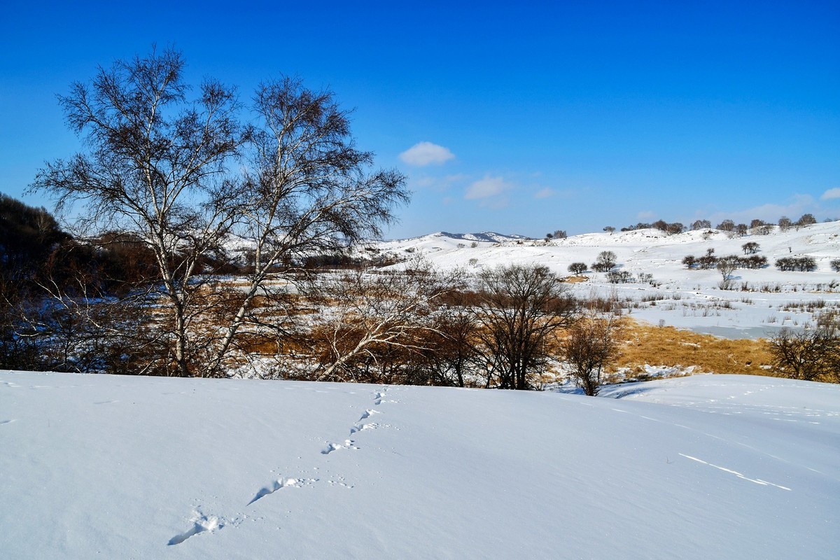 我只是把出去看到的随手记录下来（111）