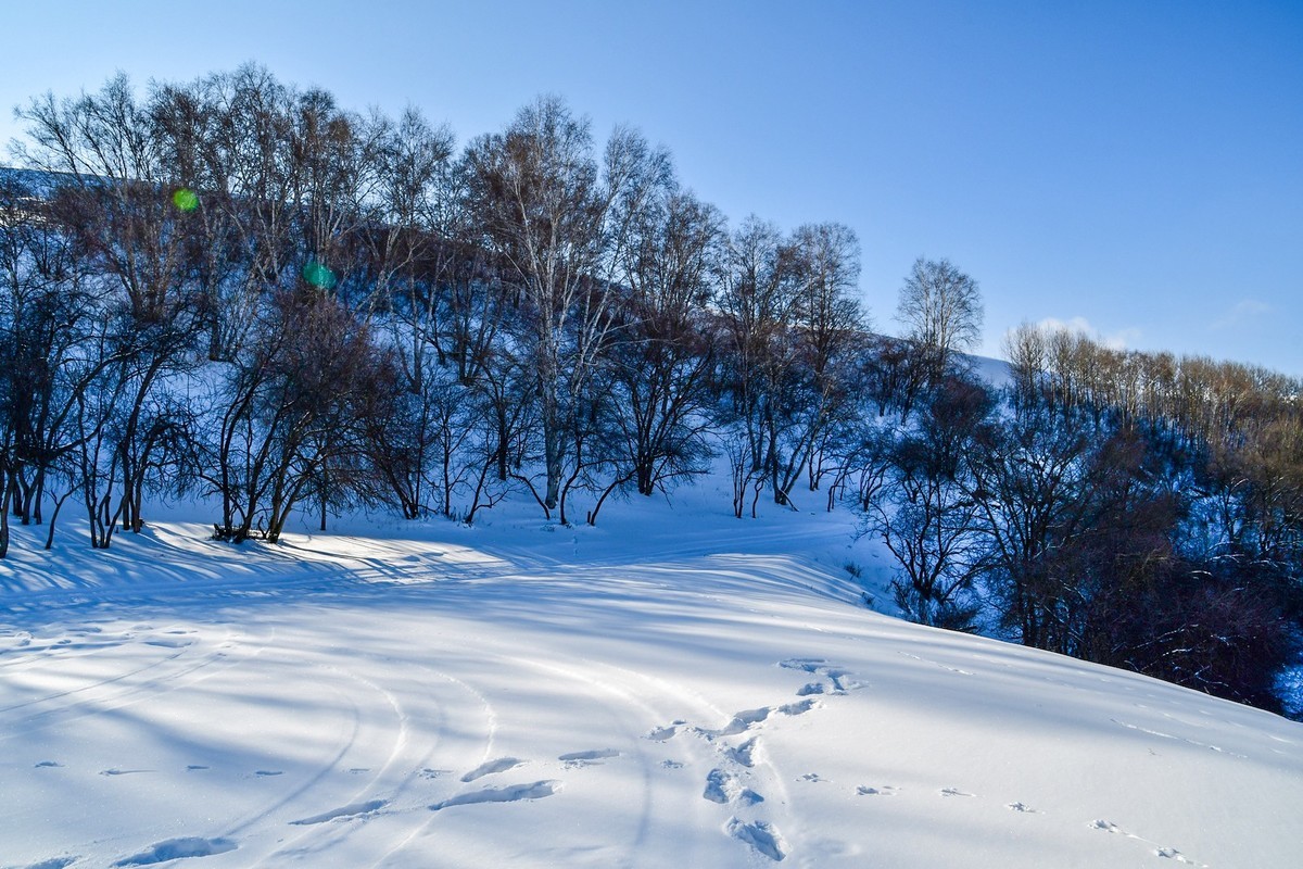 我只是把出去看到的随手记录下来（111）