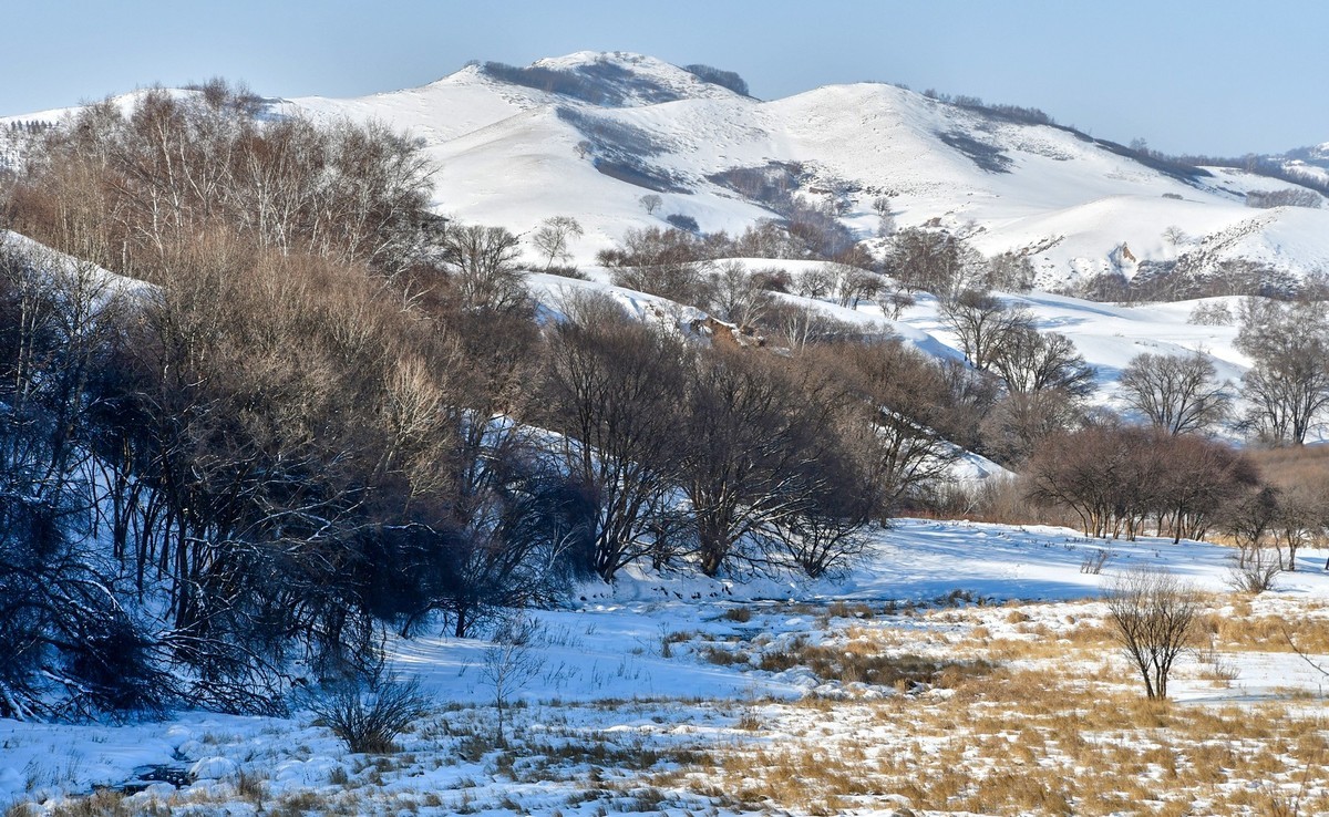 我只是把出去看到的随手记录下来（111）
