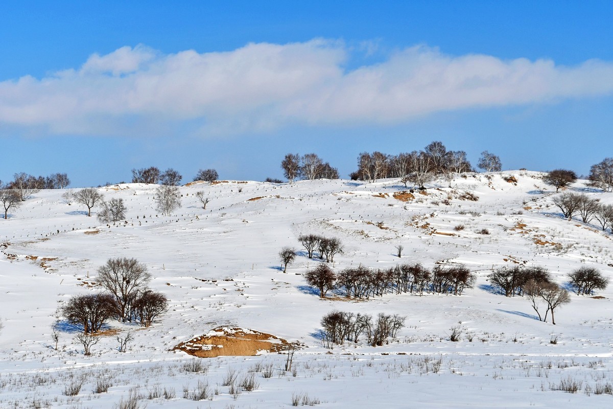 我只是把出去看到的随手记录下来（111）