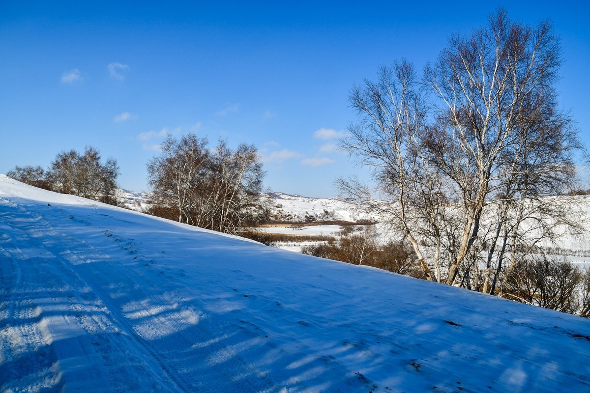 我只是把出去看到的随手记录下来（111）