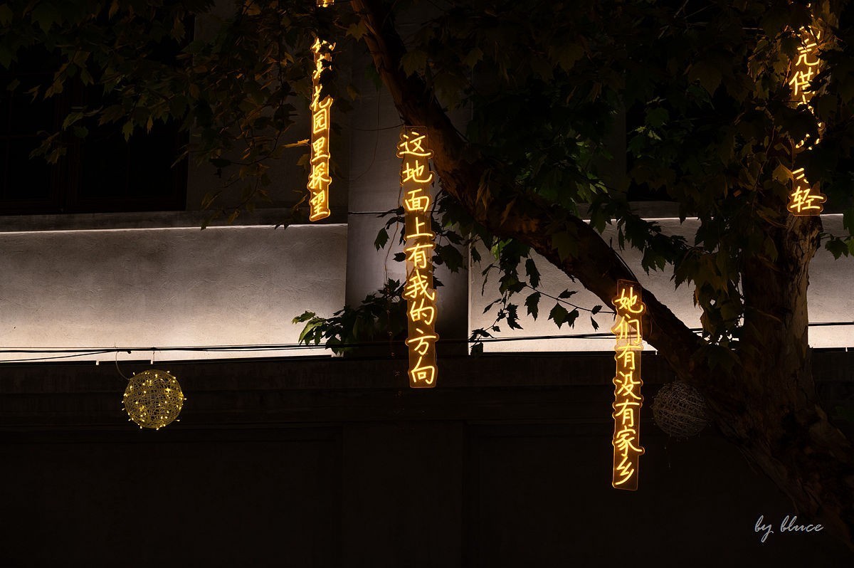 夜幕降临下的干河街（下）