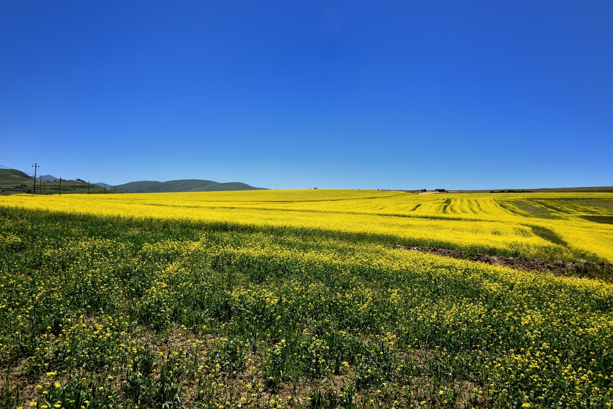 仲夏川北行【5】