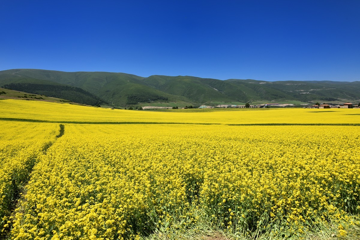 仲夏川北行【5】