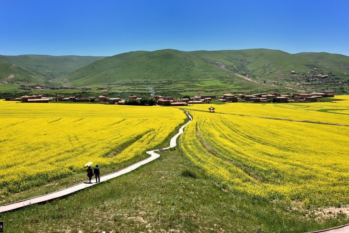 仲夏川北行【5】
