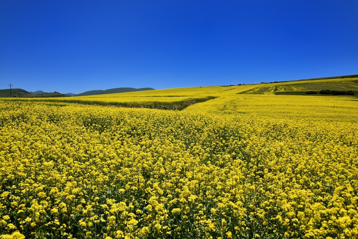 仲夏川北行【5】