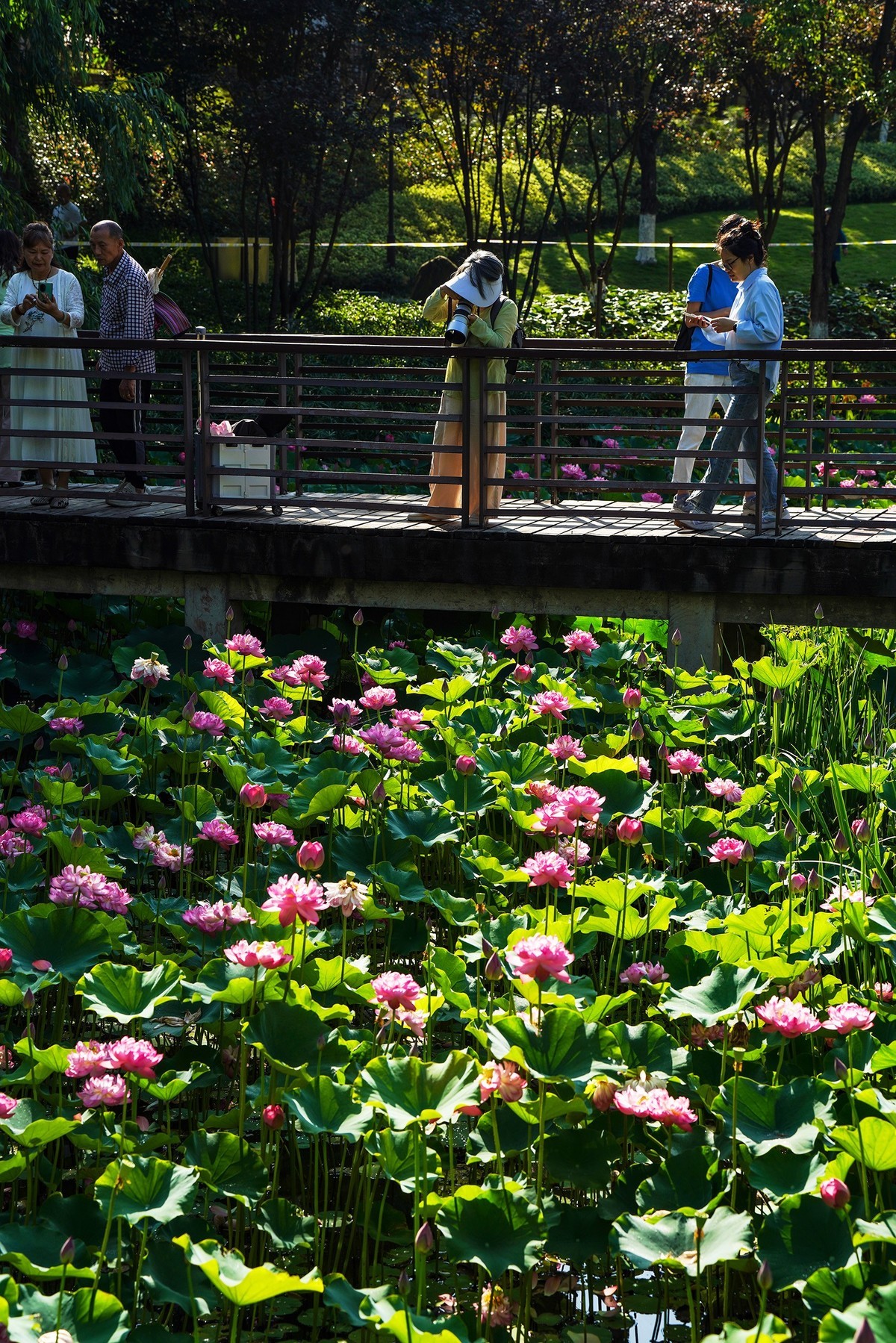 幸福生活晒出来