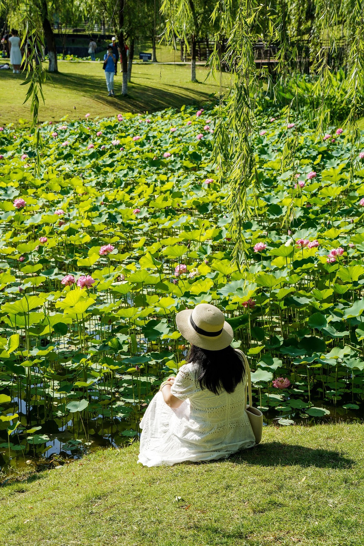 幸福生活晒出来