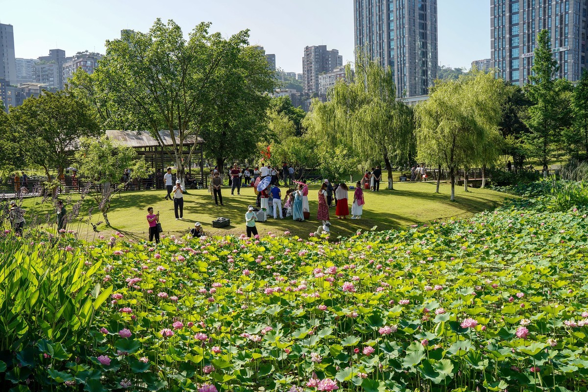 幸福生活晒出来