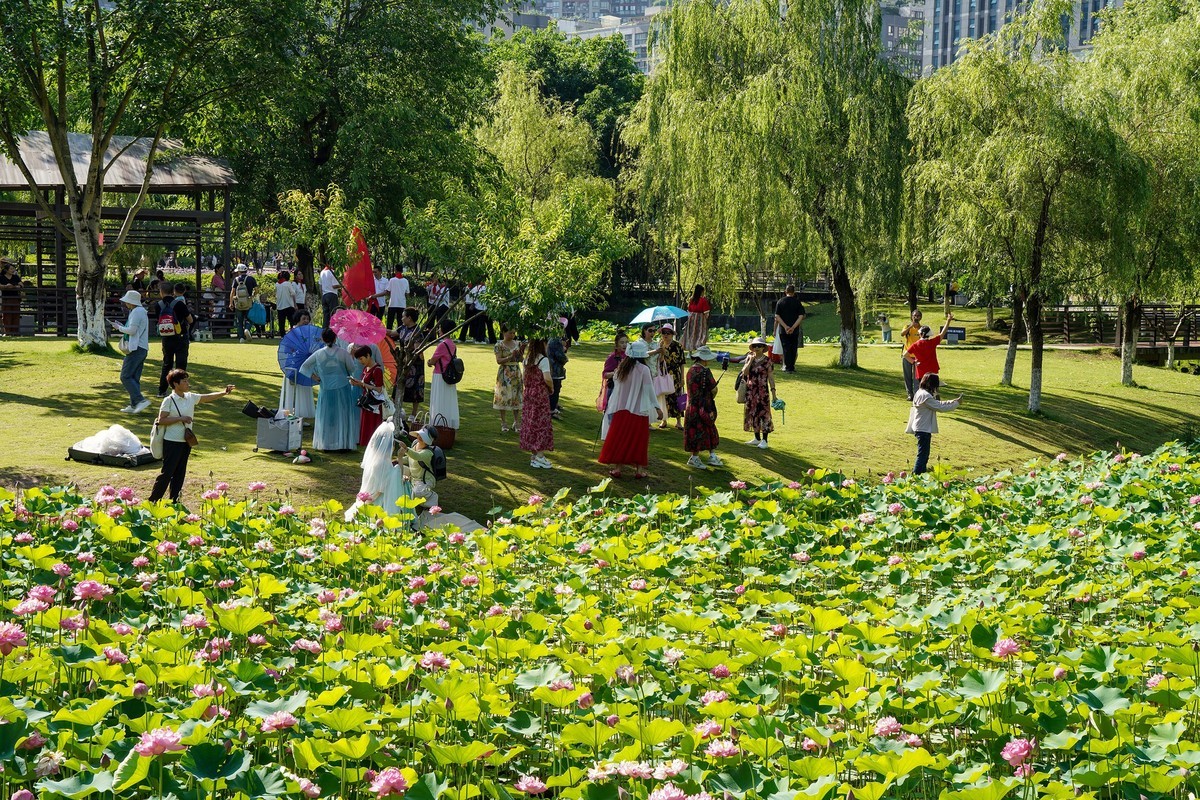 幸福生活晒出来