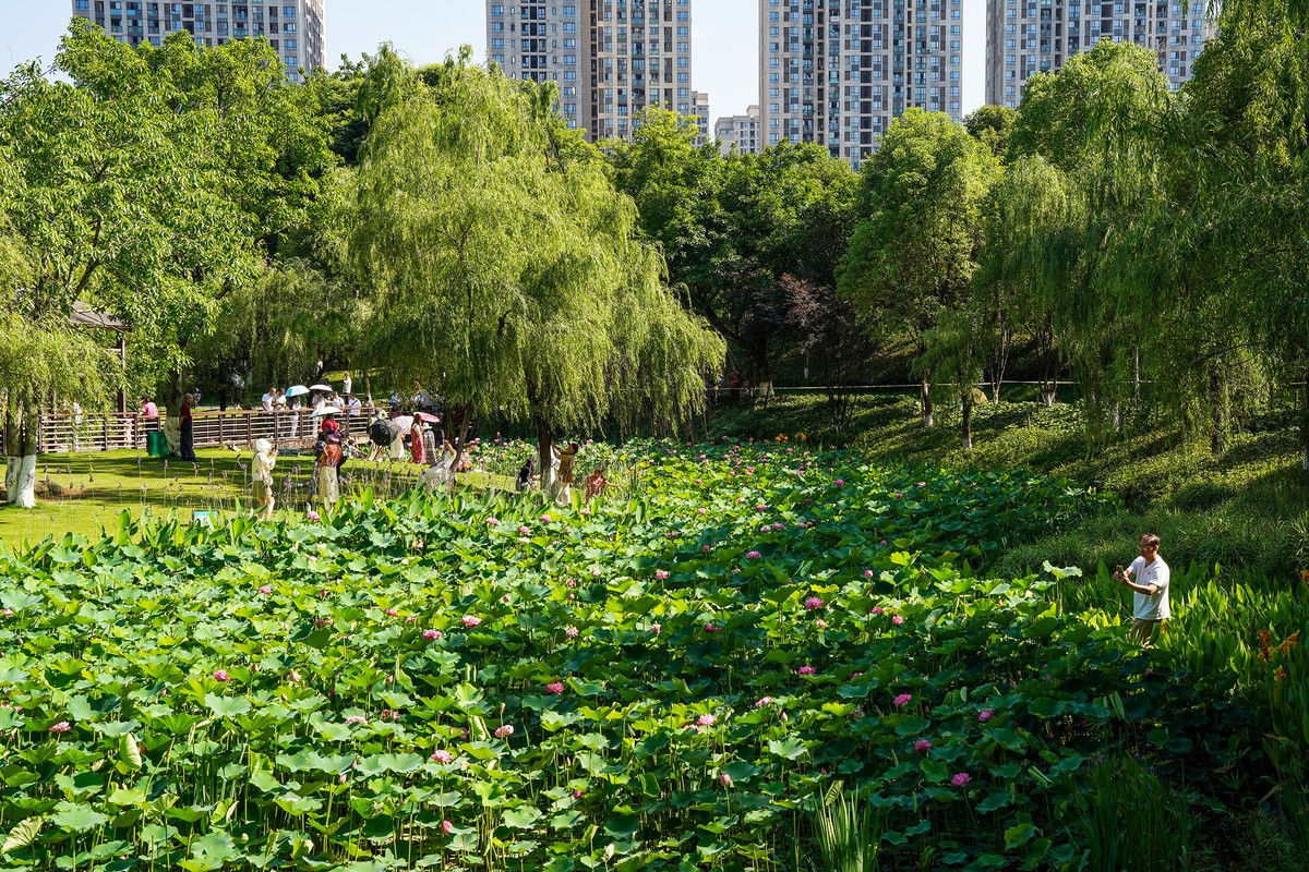 幸福生活晒出来