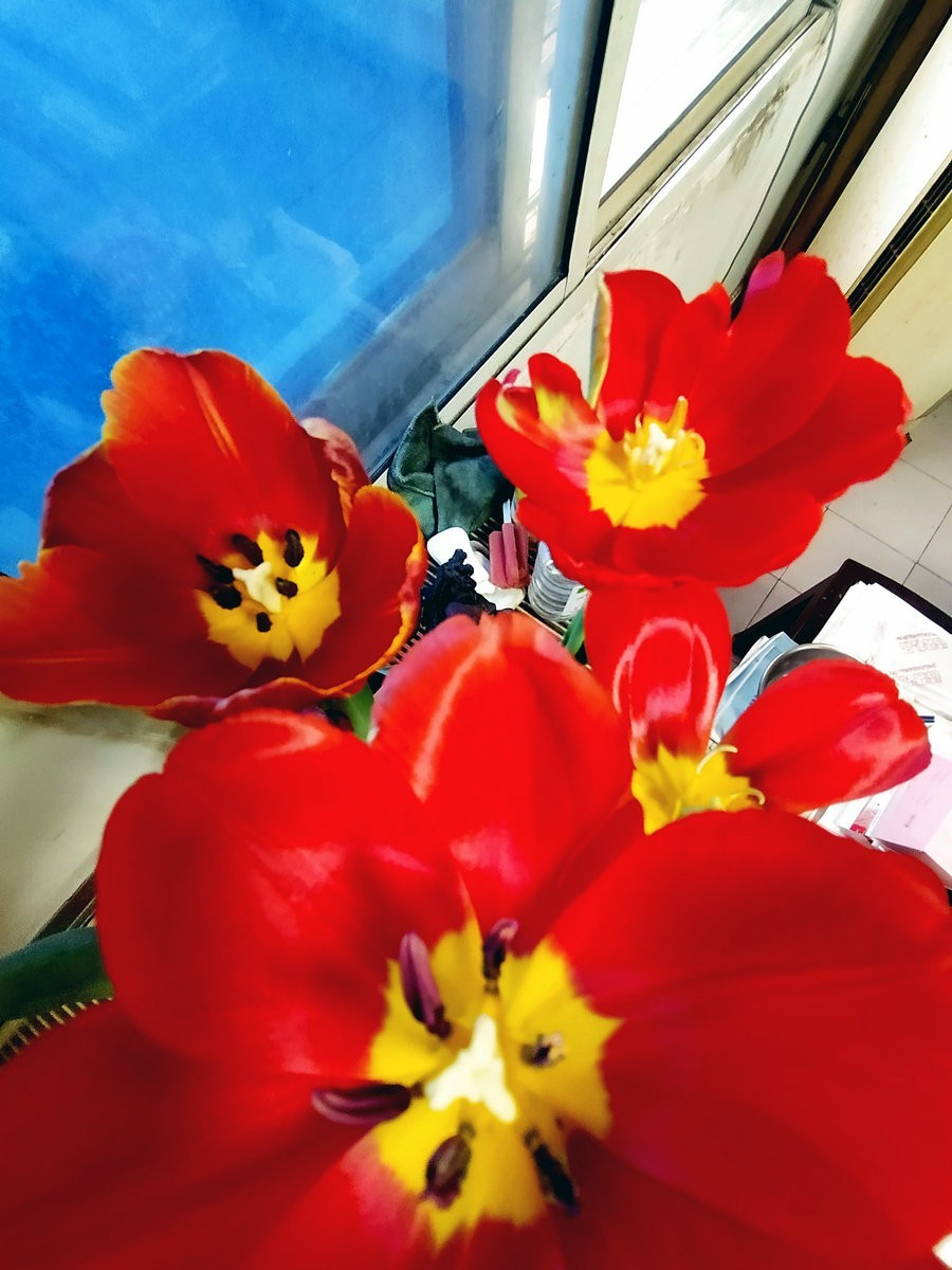 漫步星城 走街串巷（180）企盼阳光