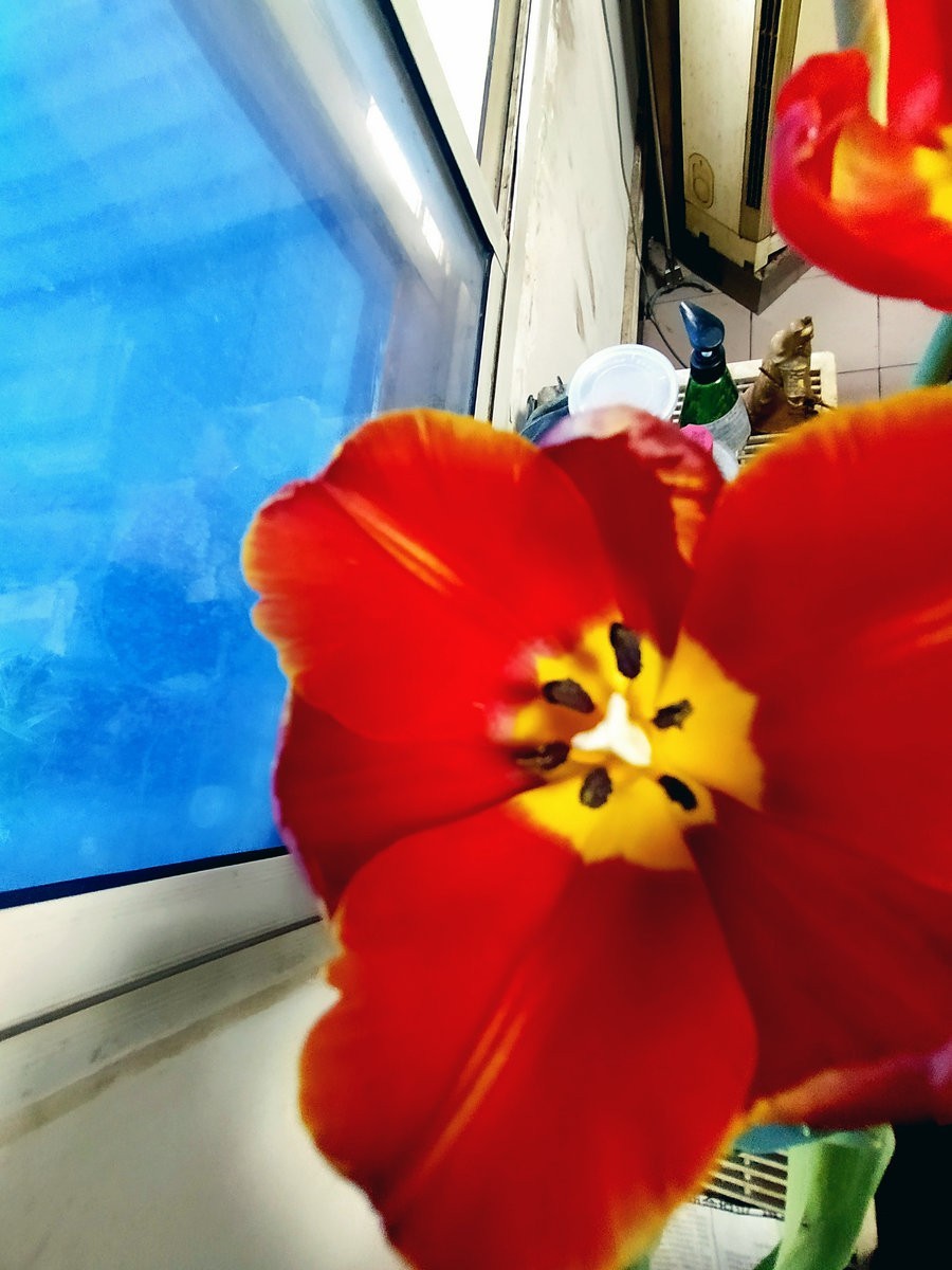 漫步星城 走街串巷（180）企盼阳光