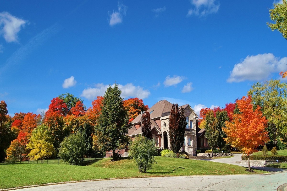 秋天应是赏枫时