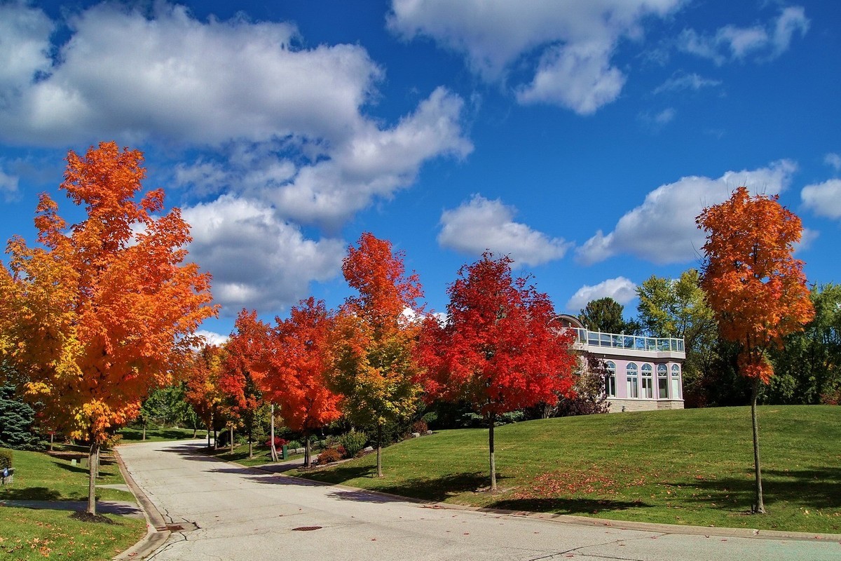 秋天应是赏枫时