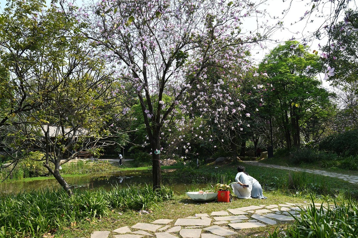 海珠湿地花似锦