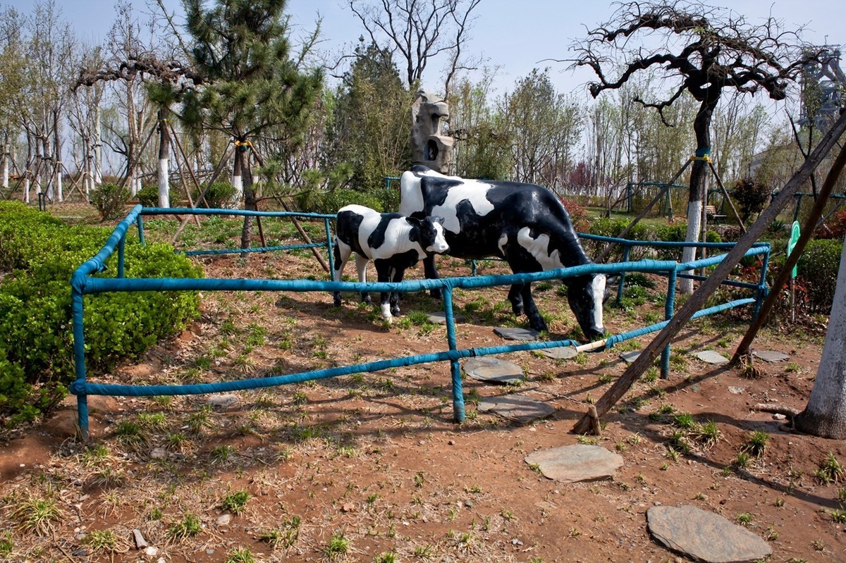 沧海桑田——钢城的变迁