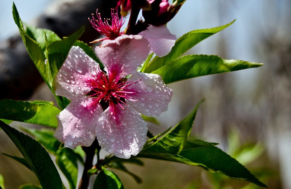 沧海桑田——钢城的变迁