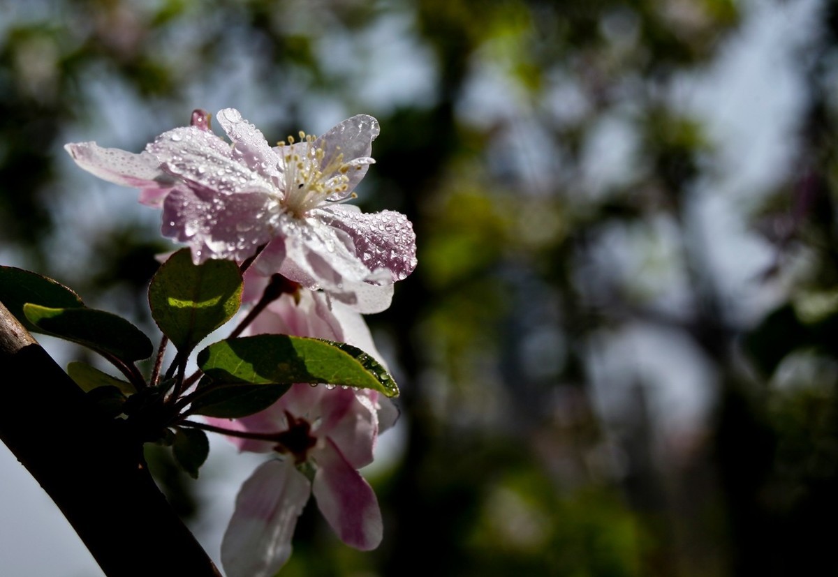沧海桑田——钢城的变迁