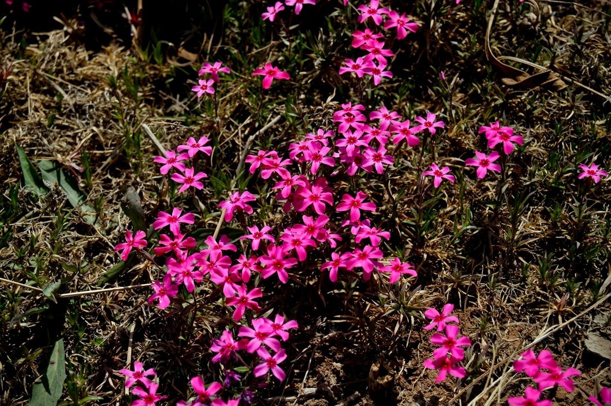 沧海桑田——钢城的变迁