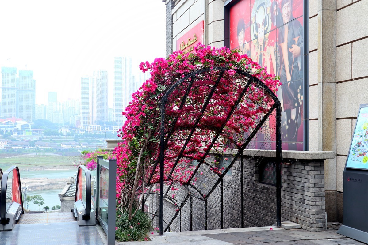 弹子石老街随拍 （三）