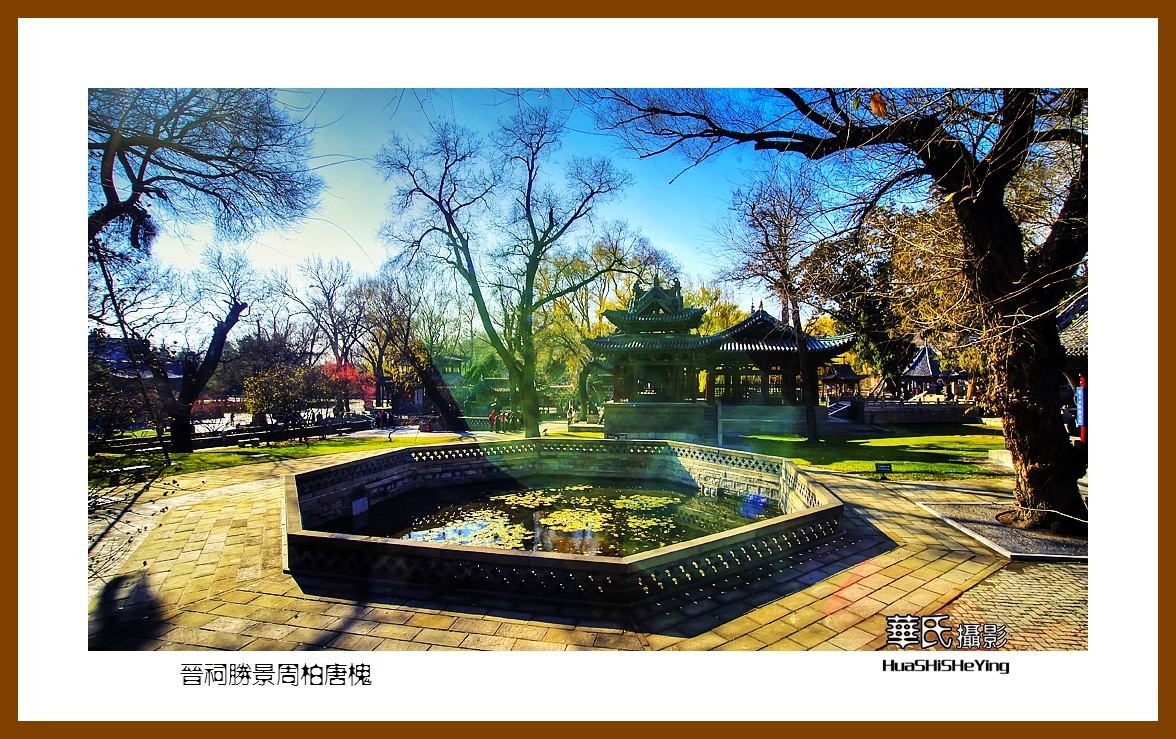 2020西西南北行游走山西146——晋祠胜景周柏唐槐（太原市）