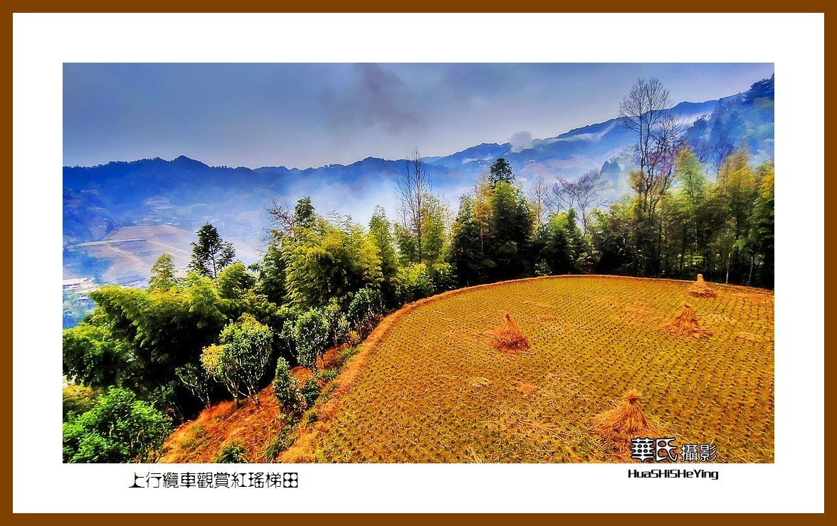 2021南行慢游广西041——上行缆车观赏红瑶梯田之二（桂林市龙胜县龙脊梯田）