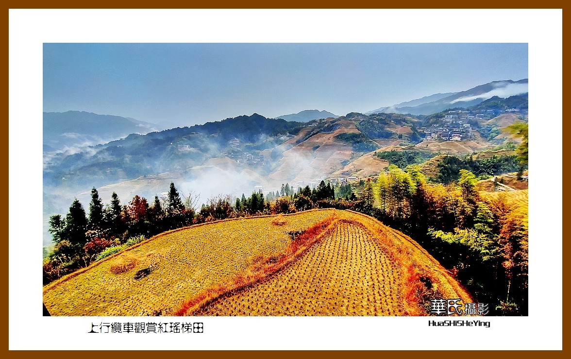2021南行慢游广西041——上行缆车观赏红瑶梯田之二（桂林市龙胜县龙脊梯田）