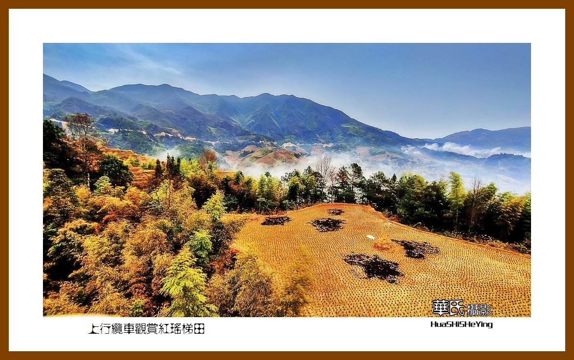 2021南行慢游广西041——上行缆车观赏红瑶梯田之二（桂林市龙胜县龙脊梯田）