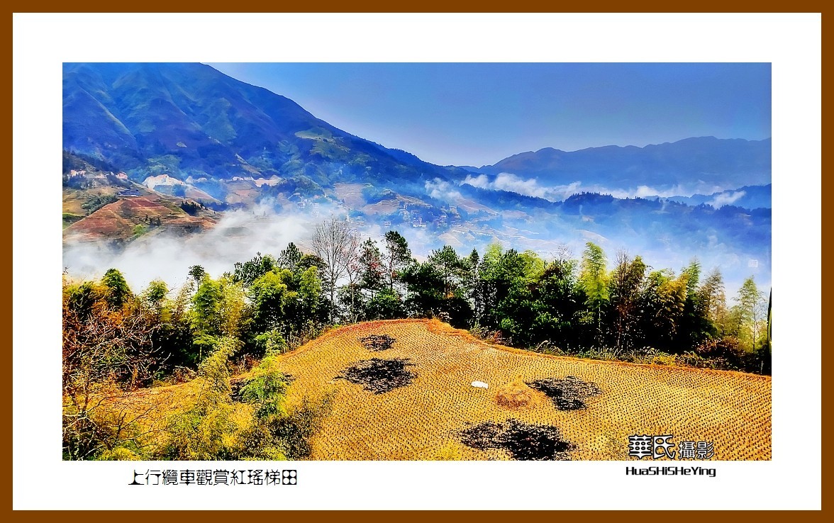 2021南行慢游广西041——上行缆车观赏红瑶梯田之二（桂林市龙胜县龙脊梯田）