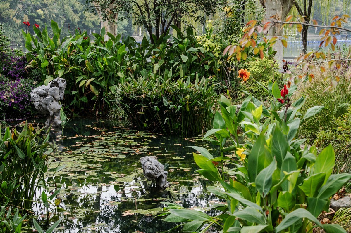 庐州印象(311)古逍遥津