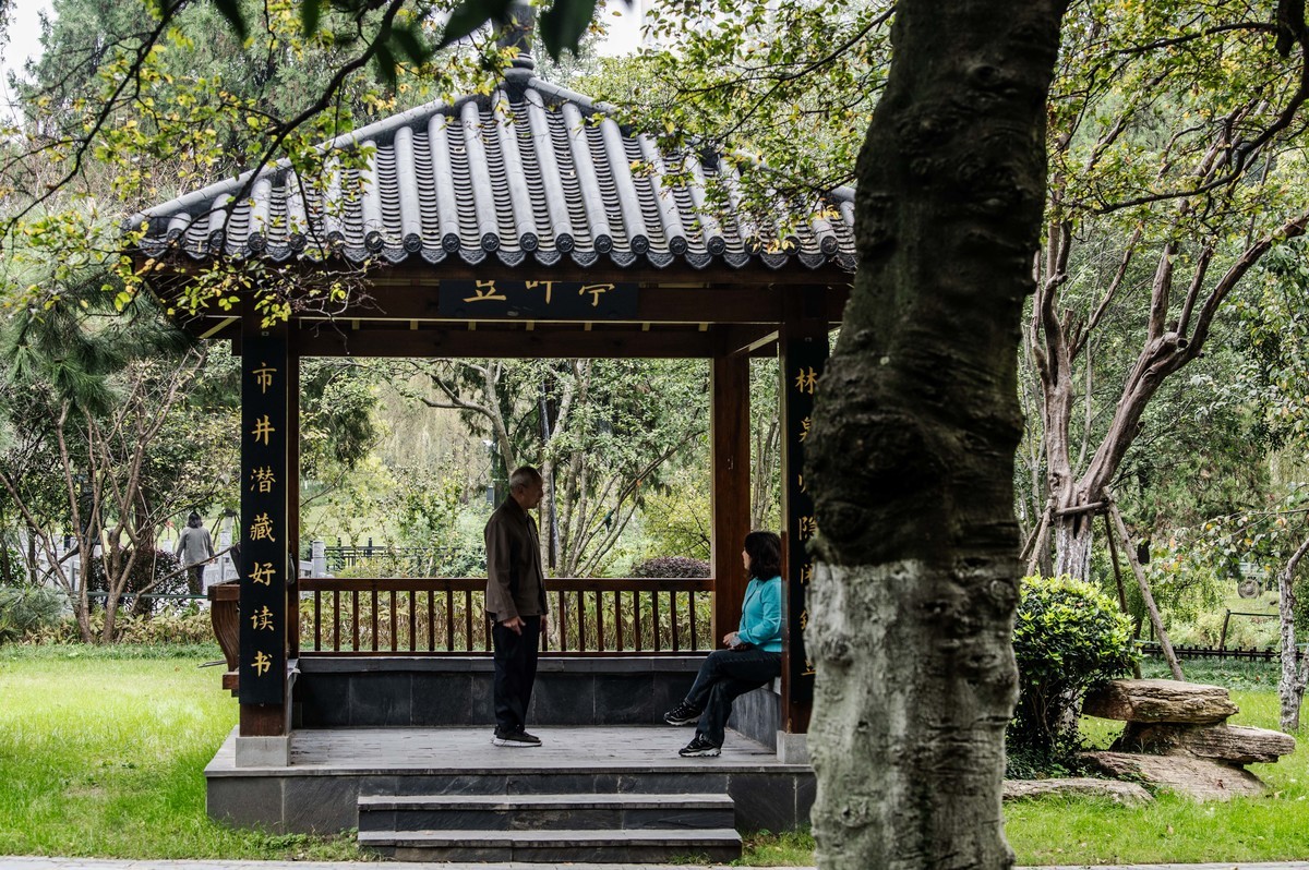 庐州印象(311)古逍遥津