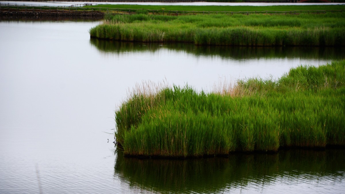 “醉”美边防路G331延吉——牡丹江