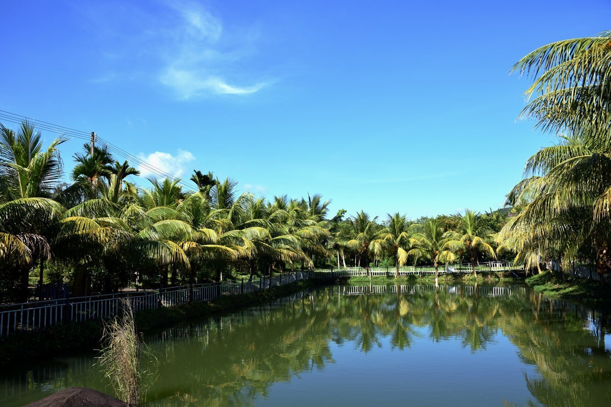 2024夏 海南环岛行（69）享受惬意时光