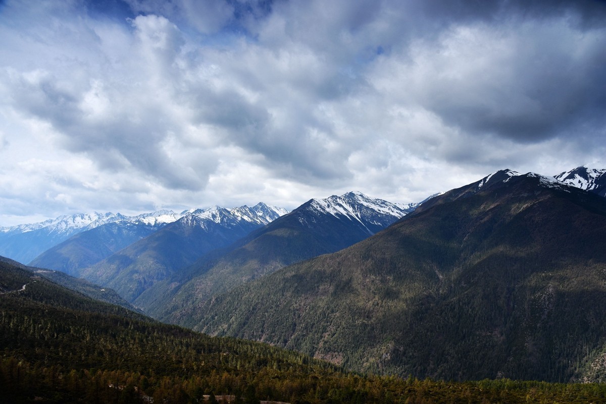 2024作品回顾贴/风光篇
