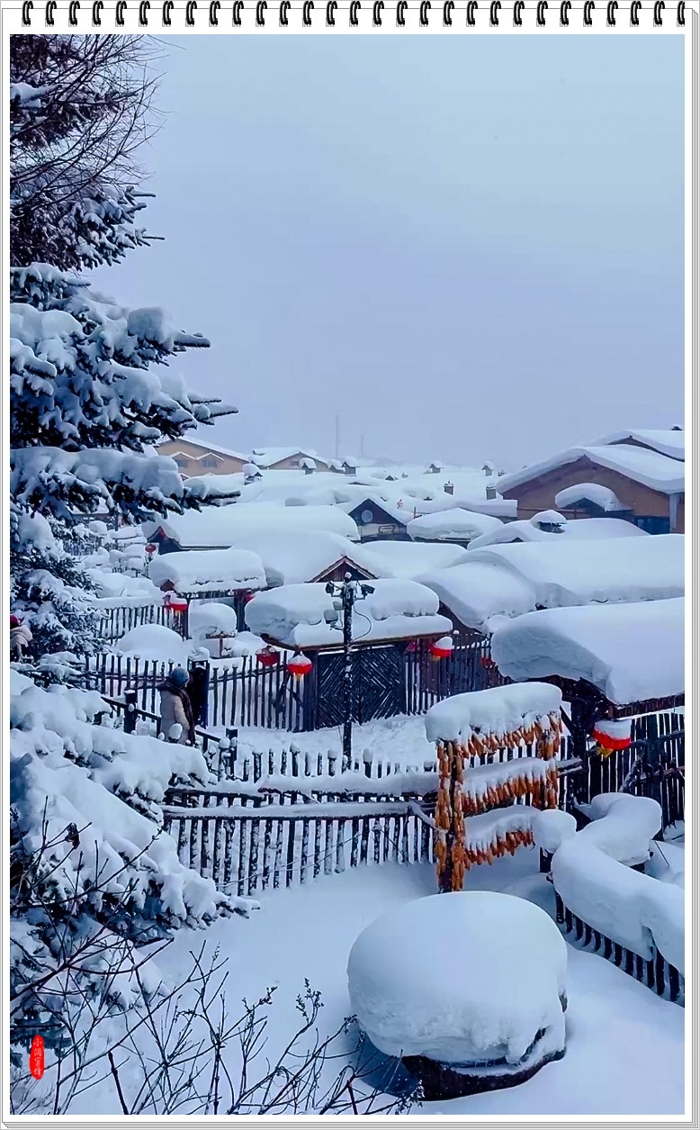 2025年- 中国雪乡风光抓拍-0007