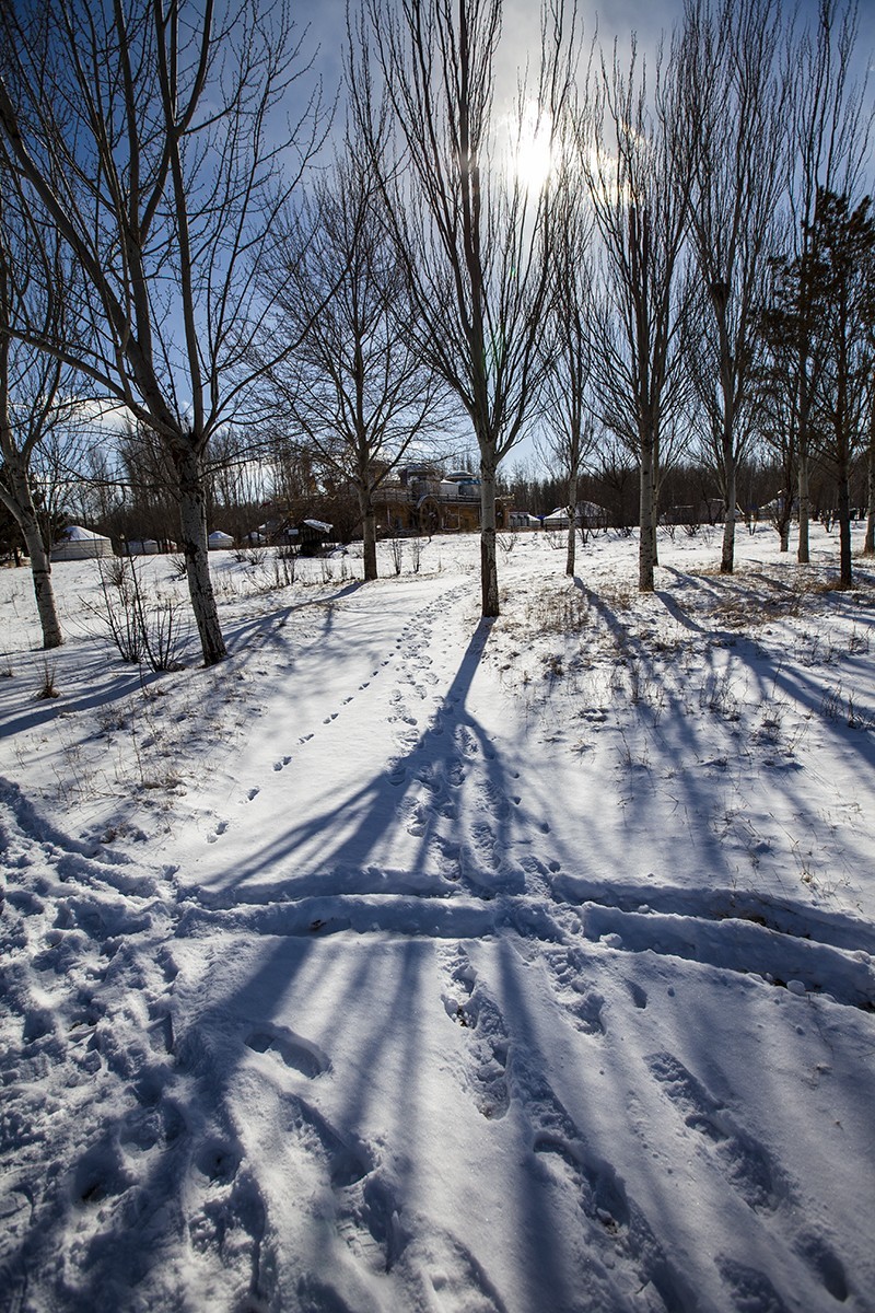 长天飞絮舞当空，大地铺银万里同。