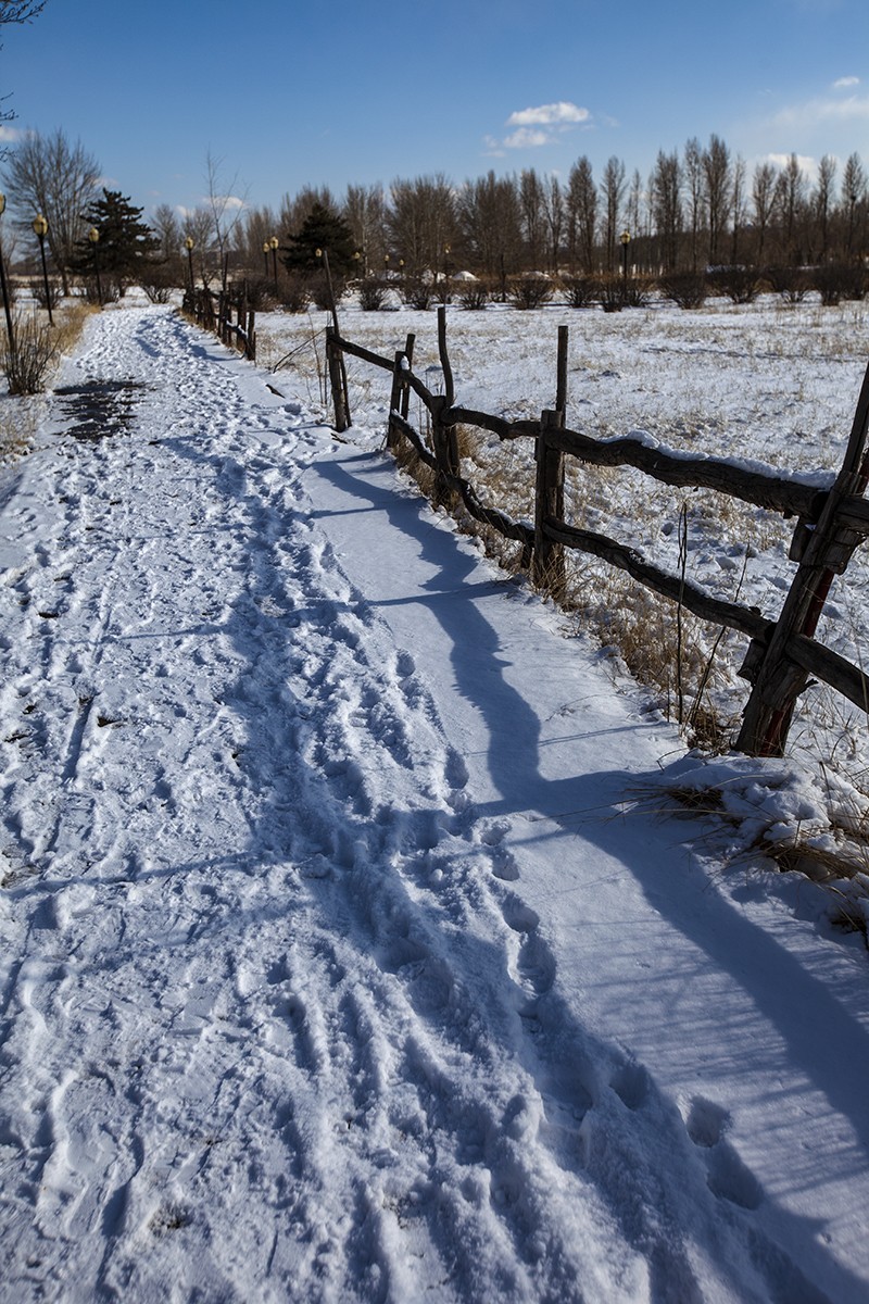 长天飞絮舞当空，大地铺银万里同。