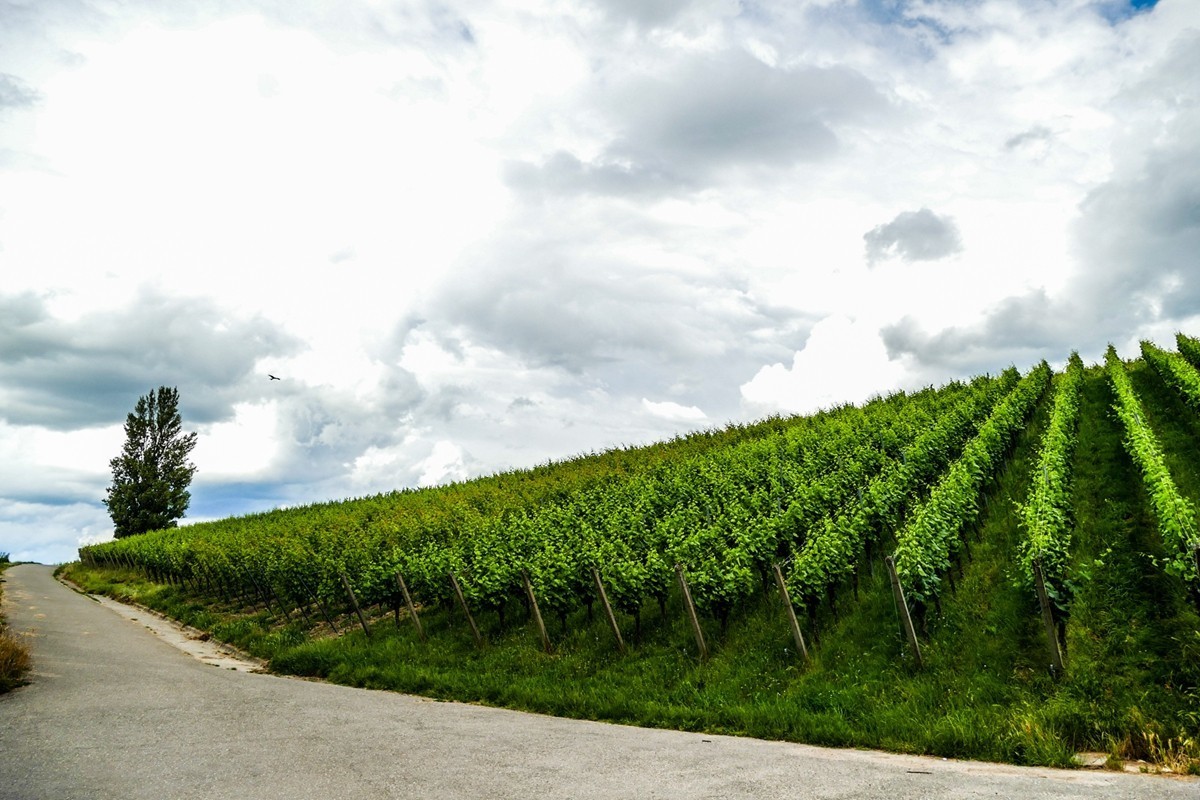 “山雨欲来”，“鹰击长空”