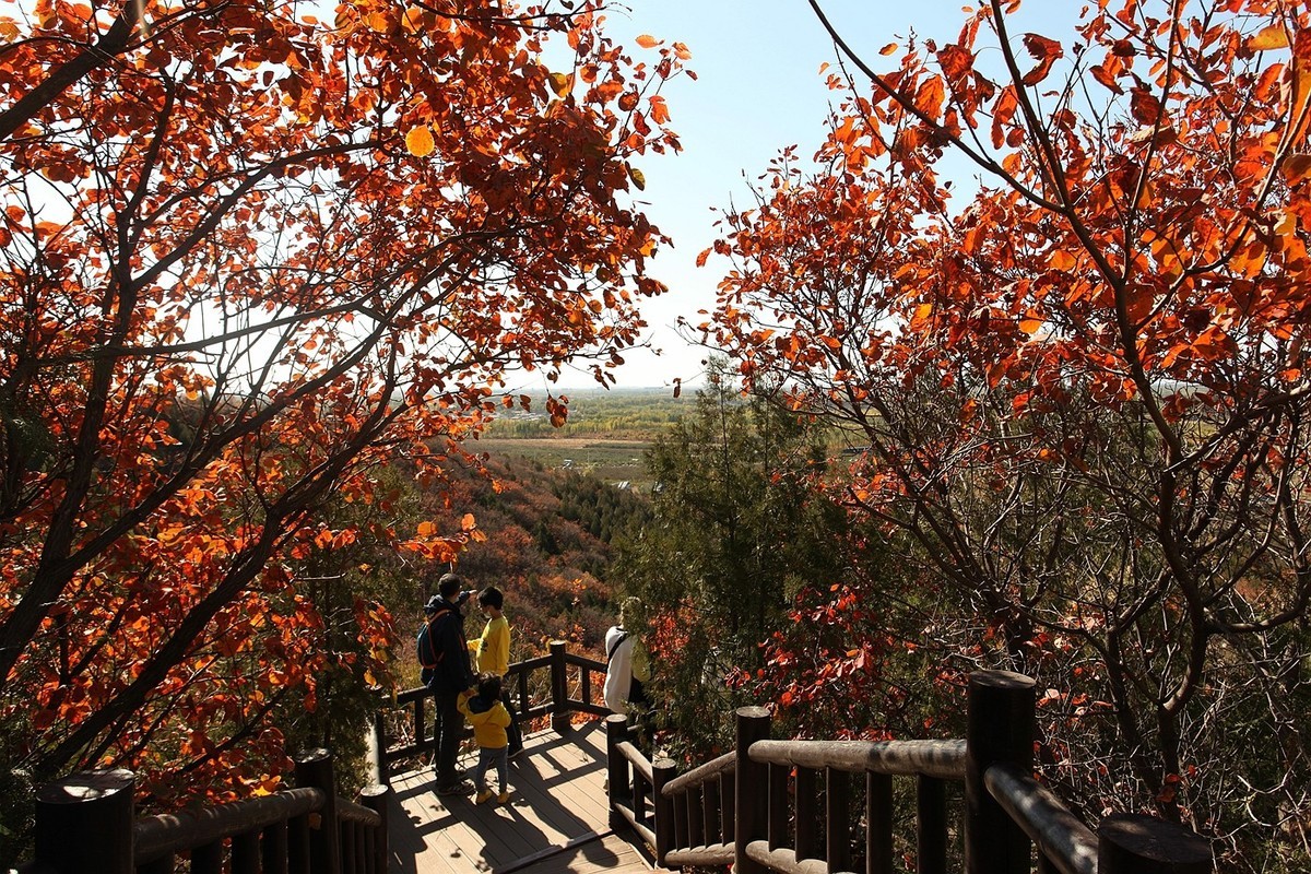 顺义-舞彩浅山红叶风情