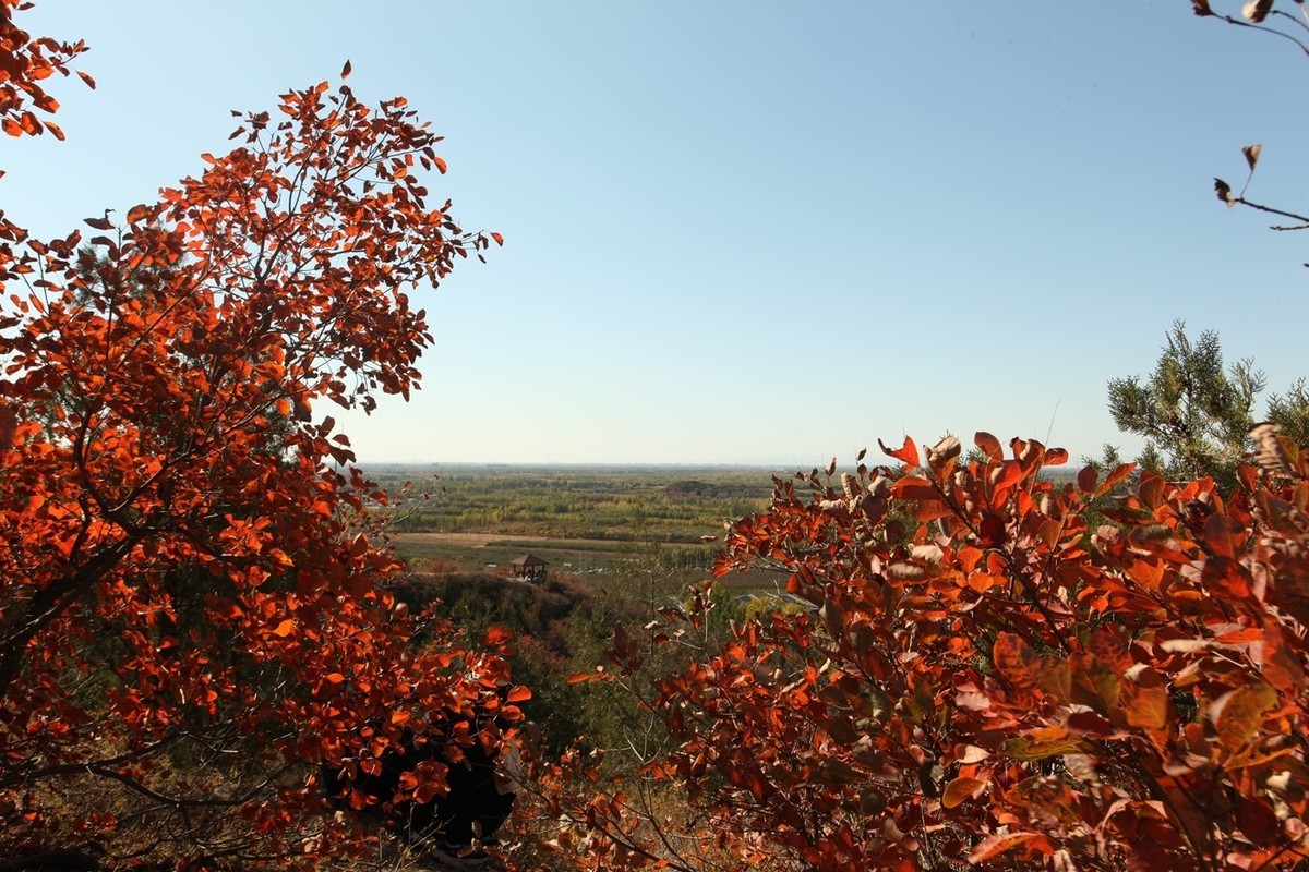 顺义-舞彩浅山红叶风情