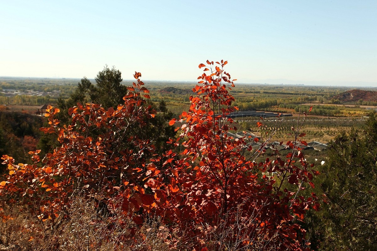 顺义-舞彩浅山红叶风情