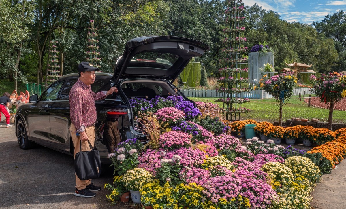 2023共青城菊花展