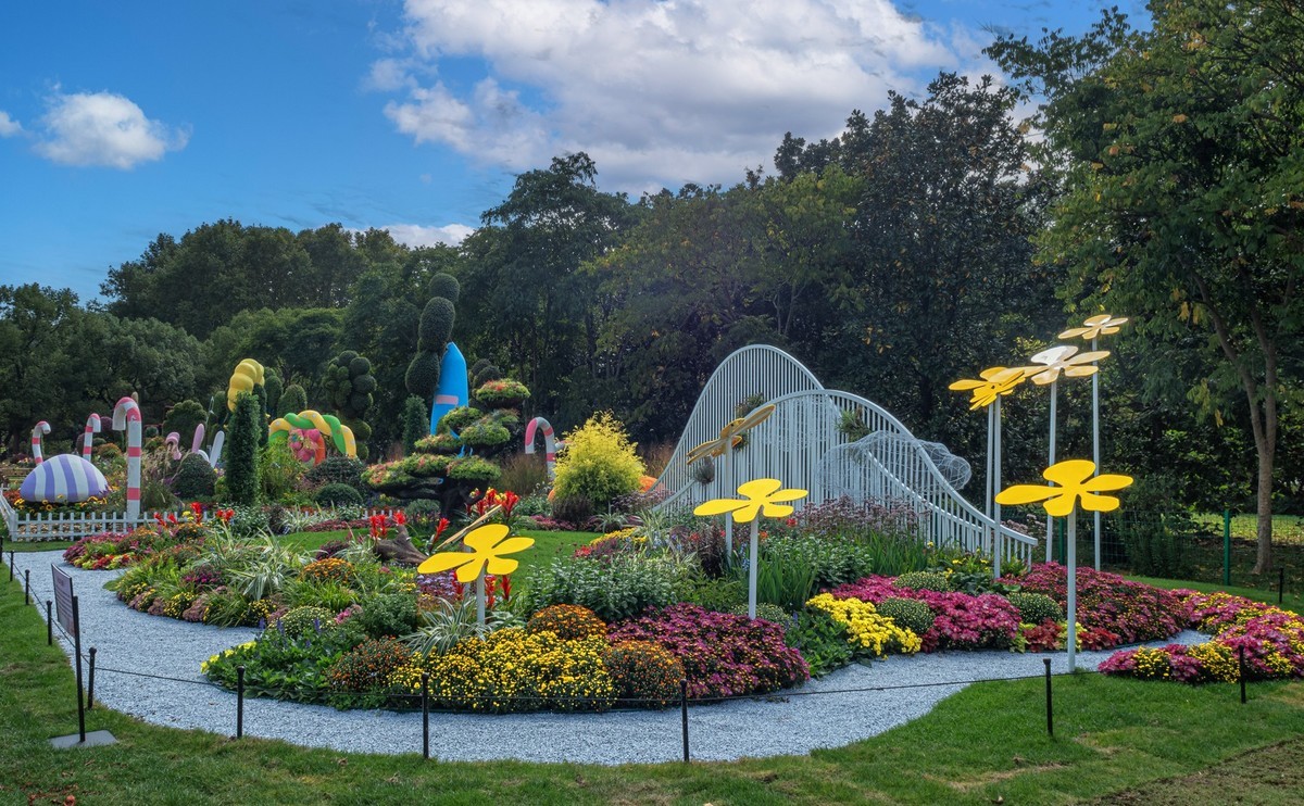 2023共青城菊花展