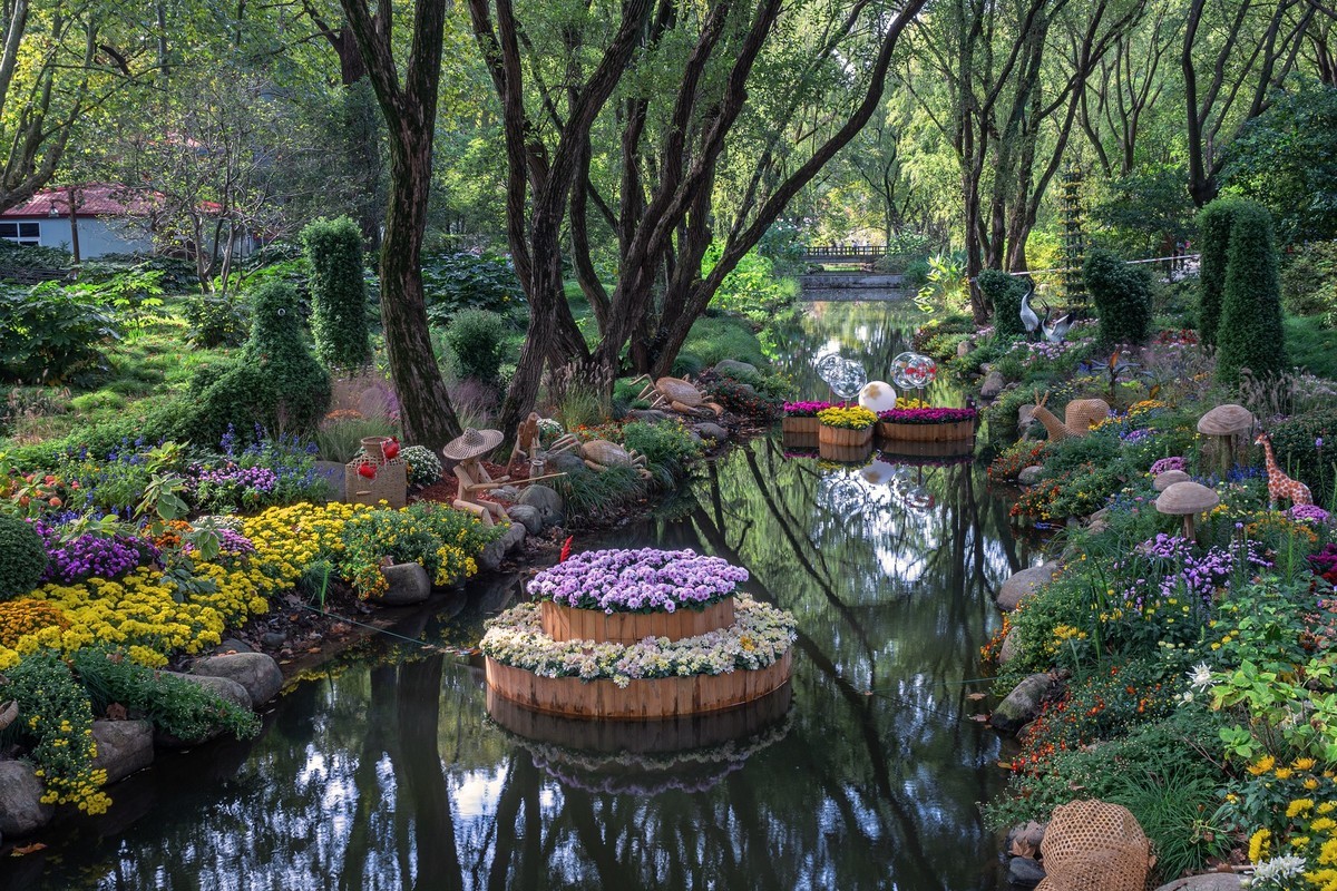 2023共青城菊花展