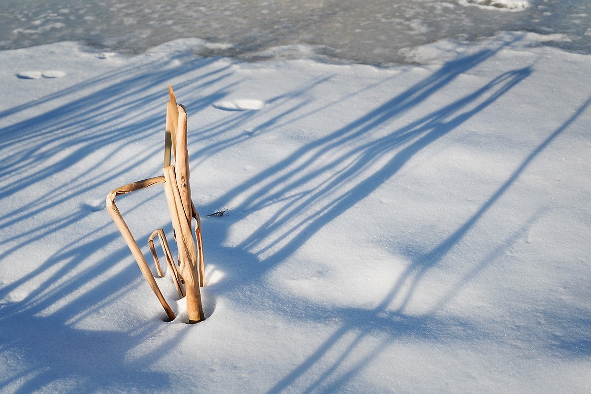 “人精”拍摄的残雪