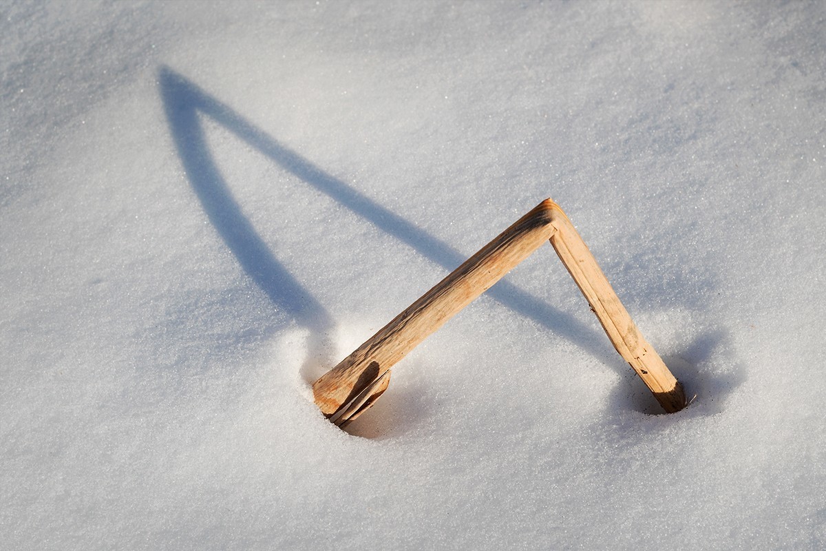 “人精”拍摄的残雪