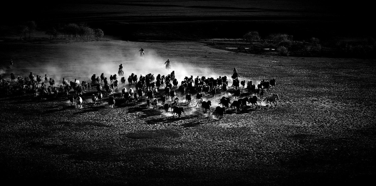 2024作品回顾贴/人文篇