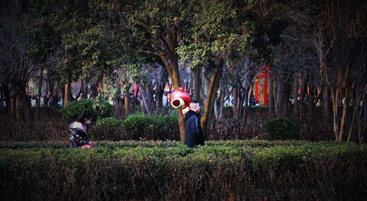 2024作品回顾贴/人文篇